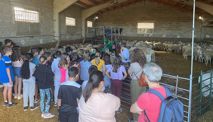 Cinco alumnas y dos alumnos se forman en un curso de la Escuela de Pastores que se imparte en Molina de Aragón
