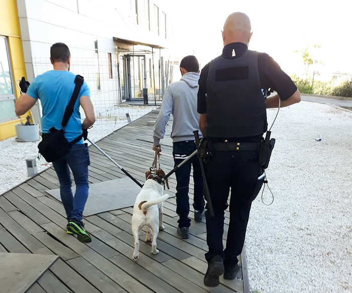 Un perro peligroso se escapa de su casa en Guadalajara e impide salir a los vecinos de los portales
