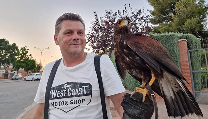 Cabanillas intensifica los vuelos con águila y halcón para combatir a las palomas