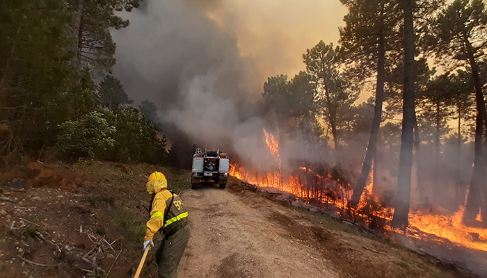 El incendio de Víllora, entre los más grandes en lo que va de año en toda España
