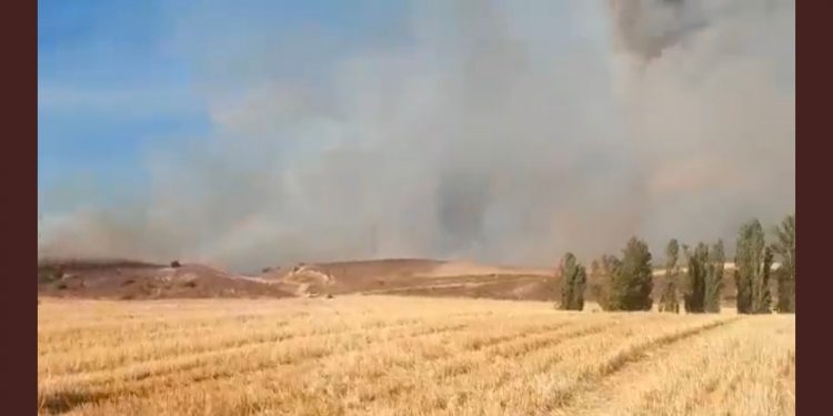Herido el piloto de un helicóptero que participaba en la extinción del incendio de Humanes Herido el piloto de un helicóptero que participaba en la extinción del incendio de Humanes