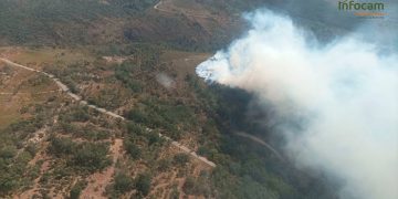 Controlado el incendio en Valverde de los Arroyos