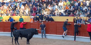 Sin heridos por asta de toro (sí por caídas y un posible infarto) en el encierro de este sábado en Guadalajara