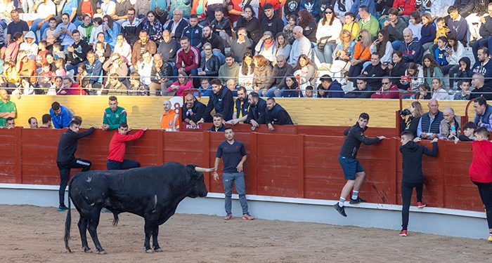 Sin heridos por asta de toro (sí por caídas y un posible infarto) en el encierro de este sábado en Guadalajara