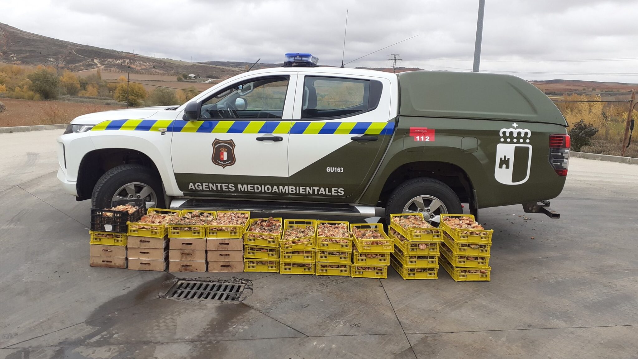 Decomisados 200 kilos de níscales ilegalmente recolectados en la Sierra Norte de Guadalajara