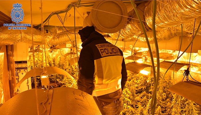 La Policía Nacional desarticula en Madrid y Guadalajara una organización criminal dedicada al cultivo indoor de marihuana en fincas ocupadas