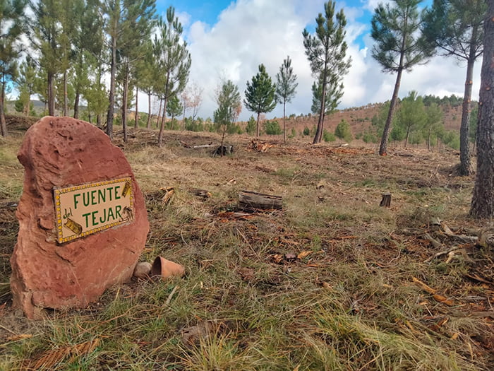 Riba de Saelices, apuesta al verde