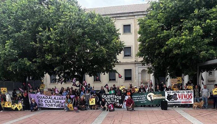 Castilla-La Mancha protesta en Cuenca contra la tauromaquia