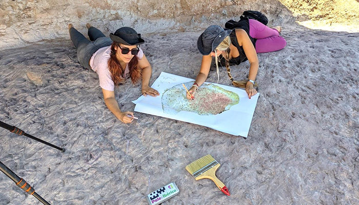 Investigadores de la UAH descubren nuevas huellas fósiles de vertebrados del Cretácico en Tamajón