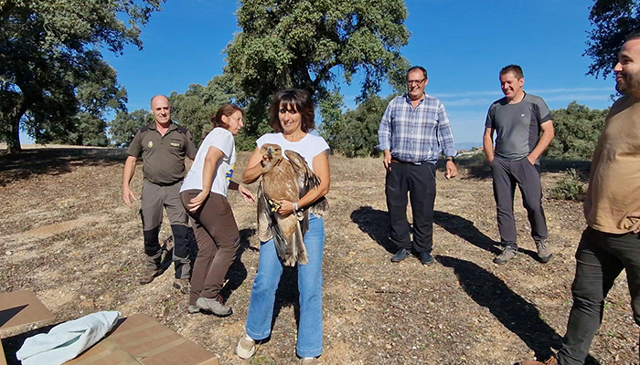 Castilla-La Mancha consolida la recuperación del águila imperial ibérica en la región y se convierte en referencia mundial en la conservación de la especie