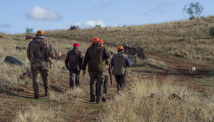 Castilla-La Mancha ha iniciado este domingo 8 de octubre una nueva temporada hábil de caza mayor y menor