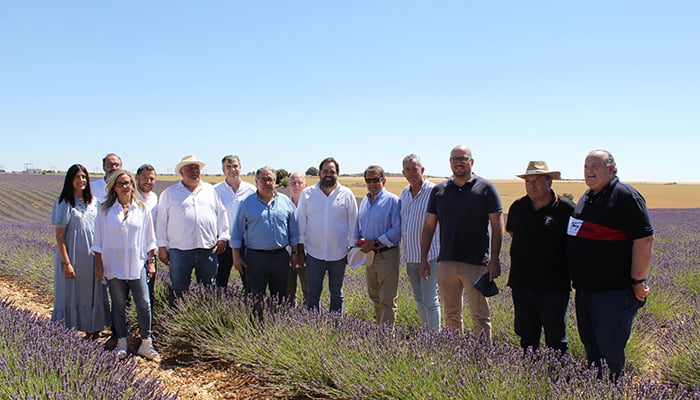 El PP de Guadalajara muestra su satisfacción por la exclusión de las plantas aromáticas como productos tóxicos como se pretendía con el ‘Pacto Verde’