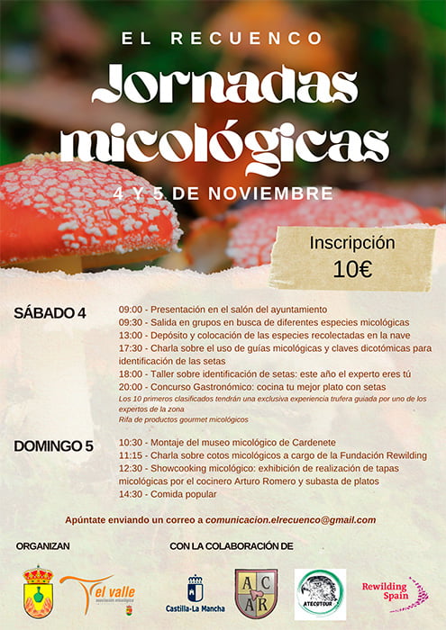 El Recuenco organiza unas jornadas micológicas para el 4 y 5 de noviembre