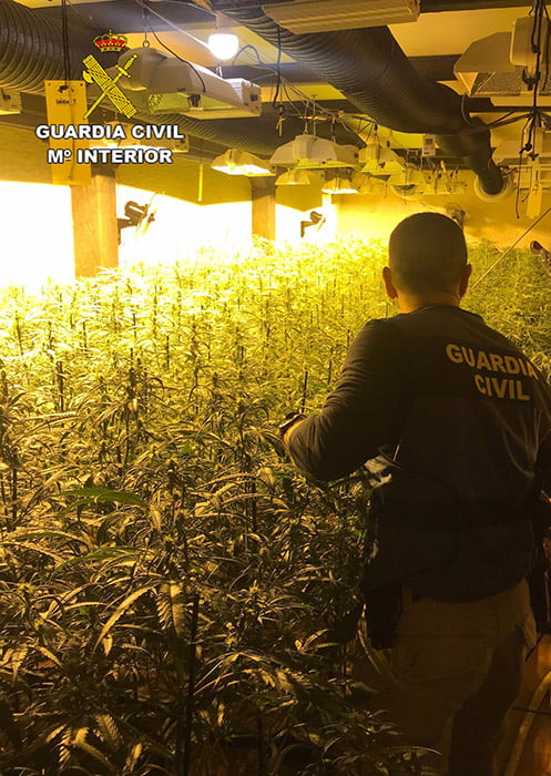 La Guardia Civil de Guadalajara detiene a cuatro personas pertenecientes a un grupo criminal dedicado al cultivo de marihuana