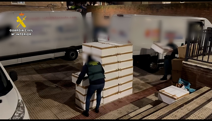 Detenido en Guadalajara por tráfico y comercio ilegal de 170 kilos de angulas vivas